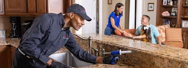 Reliable Montour Falls, NY Pest Control Solutions